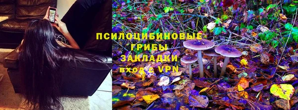 молекула духа Белокуриха