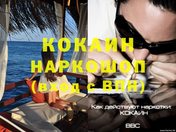 ГАЛЛЮЦИНОГЕННЫЕ ГРИБЫ Тобольск