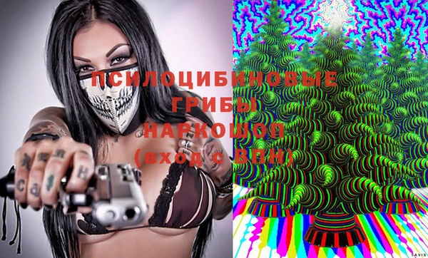 молекула духа Белокуриха